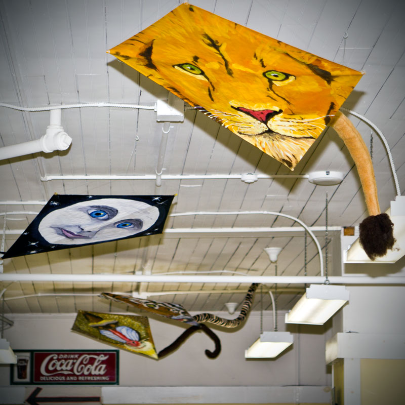 Kites on the Ceiling