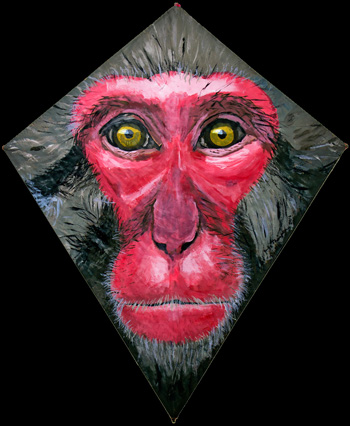 Macaque Kite