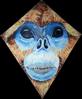 Blue Faced Monkey Kite