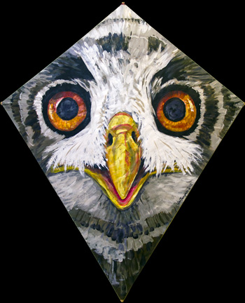 Owl Kite Number 2