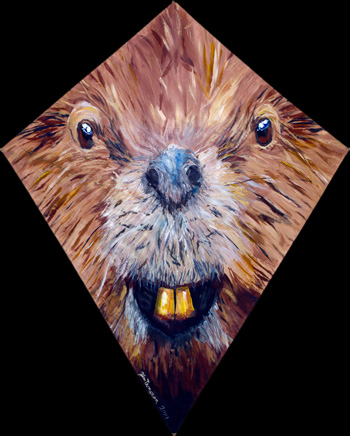 Beaver Kite