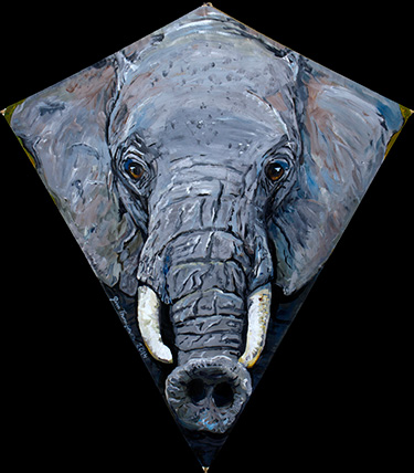 Elephant Kite 2014