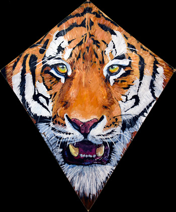 2015 Tiger Kite