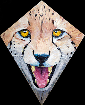 Cheetah Kite 2016