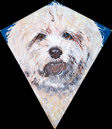 Lucy the dog kite