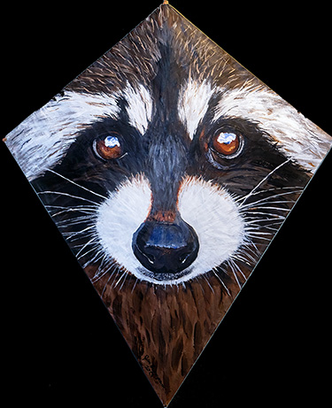 Raccoon Kite